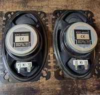 Rear view of both speakers showing model labels, terminals, and frame condition