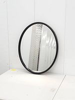 Front view of oval mirror against wall showing full frame and reflective surface