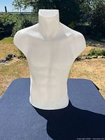 Front view of white plastic male torso mannequin on table