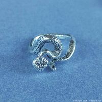 Top view showing coiled snake head and open band