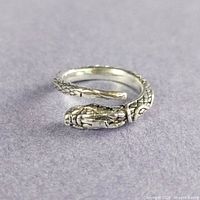 Top view of coiled snake ring showing head, tail and scale texture