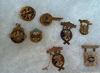 Group shot of all nine Knights of Pythias pins and medals