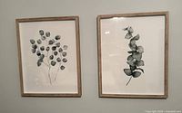 Front view showing two eucalyptus branch prints in wood frames