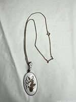 Full view of sterling chain and enamel dancer pendant