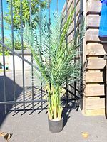 Full view of the faux palm plant standing in black pot
