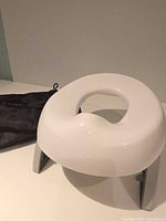 Folded travel potty and carry bag