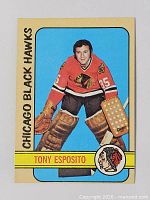 Front view of Tony Esposito Topps card showing full design and condition