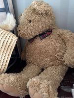Full view of teddy bear seated against wall, showing overall appearance and bow tie