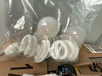 Bag showing mix of A-shape and spiral CFL bulbs