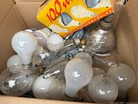 Box containing multiple incandescent light bulbs, some clear some frosted, plus 100 W bulb packaging