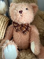 Front view of teddy bear showing overall appearance, bow tie, paw pads