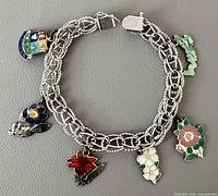 Entire bracelet with all six charms displayed