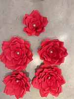 All five red wall flowers laid out on surface