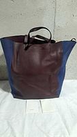 Front view of brown and blue Celine Cabas tote with two Celine booklets