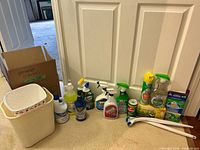 Group shot of all cleaning products lined up at door including sprays, bleach jug, septic box, powder cleanser, wand handles