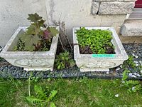Two matching square concrete planters with scroll relief placed side by side
