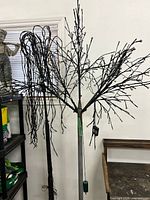 Two branch trees standing, one full branching, one slimmer, showing overall form and color