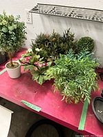 Group of assorted artificial plants on red table