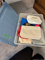 Closed plastic tote holding assorted cosmetic pouches