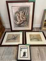 Group shot of four framed owl prints