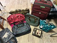 Group shot showing suitcase, duffels, briefcase, organizers, garment bag