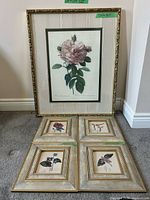 Group shot of one large and four small framed botanical prints