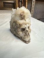 Front left view showing carved skull face and crystal crown