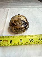 Front view showing brass clasp and tape measure indicating size