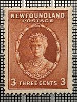 Front of 3¢ orange-brown Newfoundland Queen Mary stamp