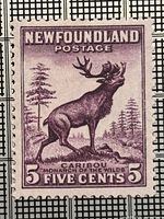 Front of 1932 Newfoundland 5¢ Caribou stamp