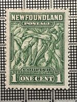Front of 1932 Newfoundland 1¢ green Codfish stamp showing design and perforations