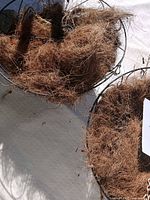 Two of the wire hanging baskets showing coconut fibre liners