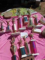 Trophies laid out on pink cloth showing variety of sizes and designs