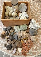 Overview of box and spread of mixed rocks, minerals, shells