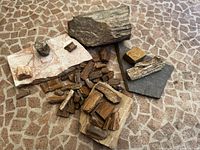Overview of petrified wood pieces and various stone slabs