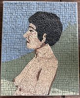 Front view of entire mosaic panel showing subject and frame