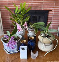 Group shot of all items: orchids in planters, croton planter, cloisonné vases, glass bird