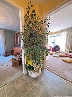 full view of planter with tree and flowers in hallway