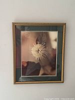 Framed photographic print of seed head