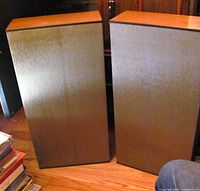 Front view of both LB60 speakers showing fabric grilles and wood tops