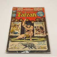 Front cover of bagged comic showing entire issue