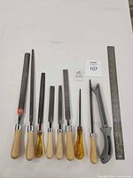 All ten files and rasps laid out beside 12-in ruler