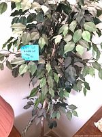 Full view of faux ficus tree showing leaves and trunk