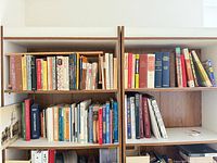 Two-shelf view showing bulk of approximately 75 books