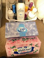 Hair care bottles in bin with Puffs and WhiteCloud tissue boxes in foreground