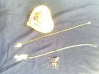 Overview of jewelry box, two necklaces, butterfly brooch