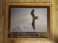 Front view showing eagle image, matting and frame