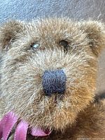 Front view of brown teddy bear head, showing fur texture, nose, eyes, ribbon