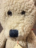 Close-up of teddy bear face showing texture, eyes, nose and ribbon