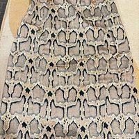 Full view of snake print skirt front